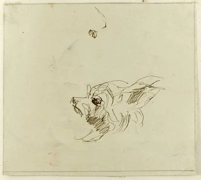 Paris Museums, Dog study (p. 36 of the album). Foto stock