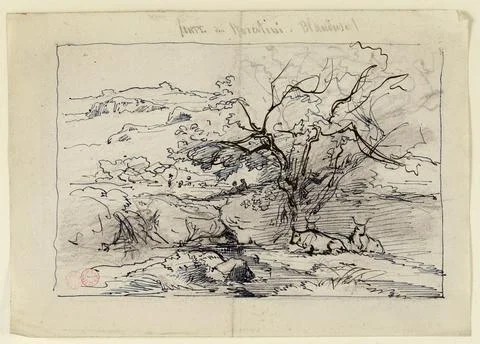 Paris Museums, Landscape 스톡 사진