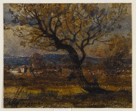 Paris Museums, Landscape with a tree Foto stock