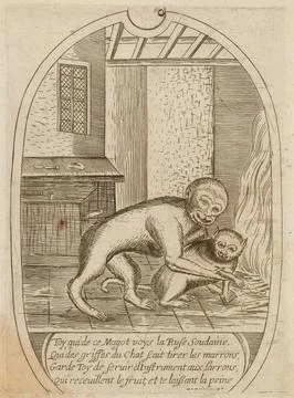 Paris Museums, The monkey and cat. (dummy title)  Proverbs. (title of all) Stock Photos