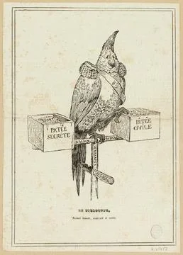 Paris Museums, The parrot. (IT) 스톡 사진