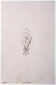Paris Museums, Plant patterns Stock Photos