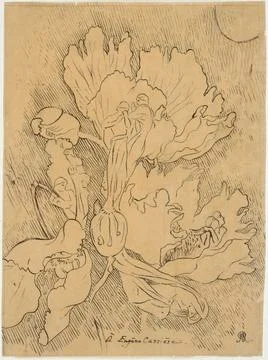 Paris Museums, Study of flower and characters Stock Photos