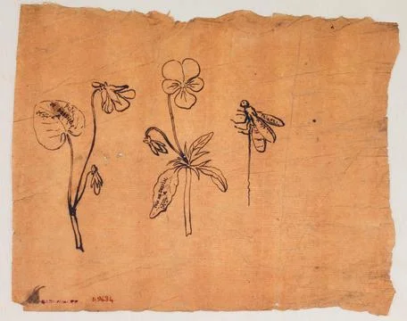 Paris Museums, Study of flowers, bee Stock Photos