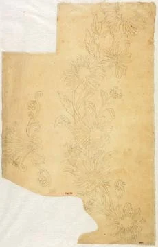 Paris Museums, Vegetable pattern Stock Photos