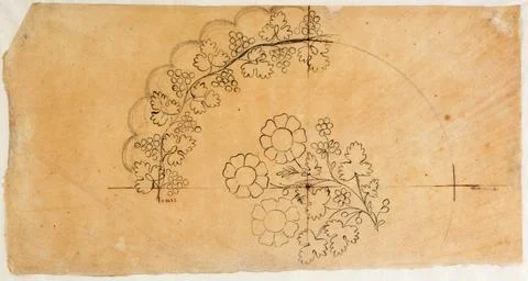 Paris Museums, Vegetable pattern Stock Photos