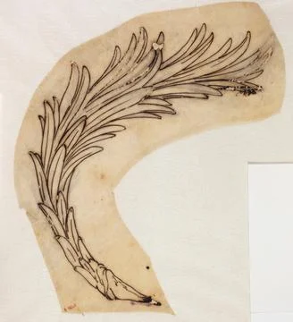 Paris Museums, Vegetable pattern Stockfoto's