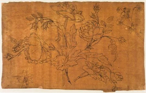 Paris Museums, Vegetable pattern Stockfoto's