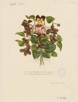 Paris Museums, The violet, of the spring dear hope,  Bringnene Napoleon, happine Stock Photos