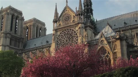 Paris - Notre Dame Cathedral 01 Stock Footage