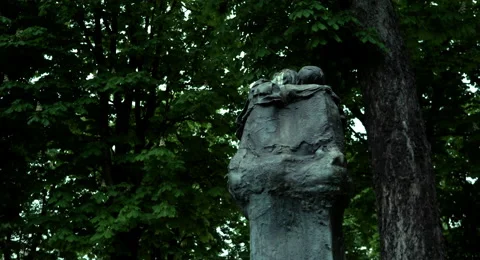 Paris one Sclupture Camera Driving with trees in the background. Stock Footage 68453607