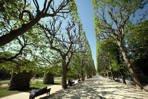 Paris park 写真素材