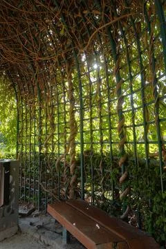 Paris, Park Square des Gres // Paris, Parc Square des Gres *** Paris, Park... Stock-Fotos