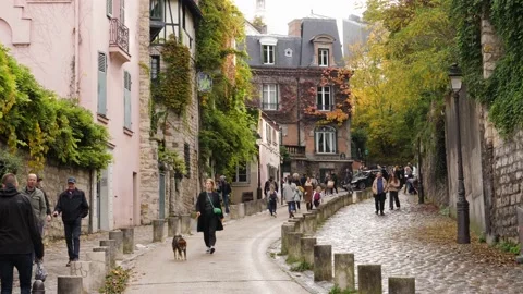 Paris people with dog walking down beautiful charming architecture wet autumn st Stock Footage 165488461