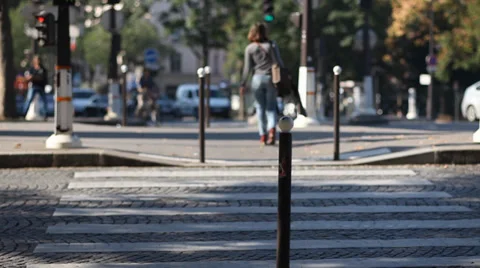 Paris Quay 2 Stock Footage 39674415