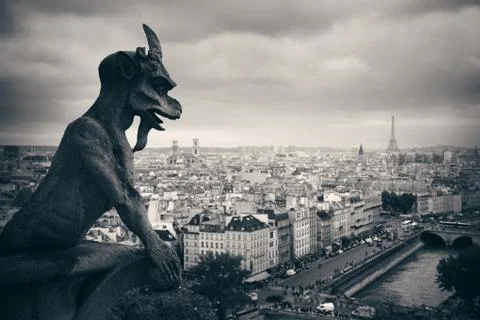 Paris rooftop view Stock Photos