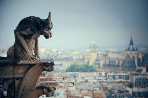Paris rooftop view Foto stock