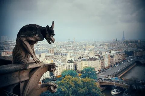 Paris rooftop view Stock Photos
