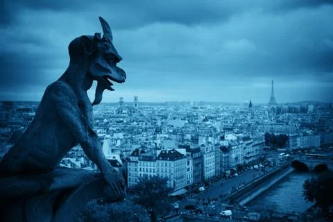Paris rooftop view Fotos Stock