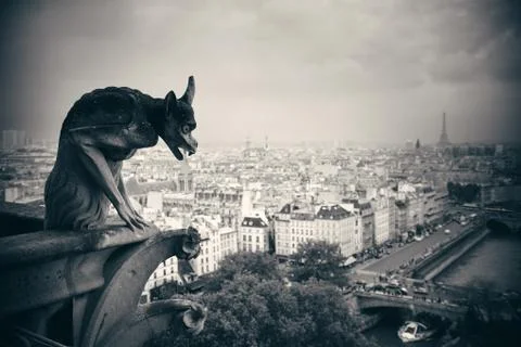 Paris rooftop view Stock Photos