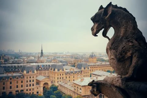 Paris rooftop view Stock Photos