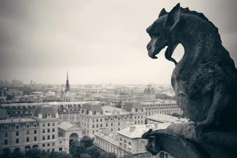 Paris rooftop view Stock Photos