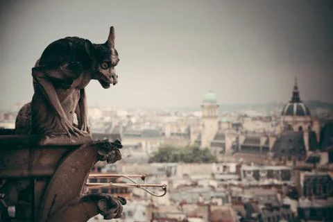 Paris rooftop view Stock Photos