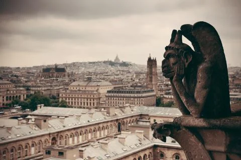 Paris rooftop view 写真素材