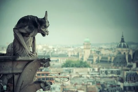 Paris rooftop view 写真素材