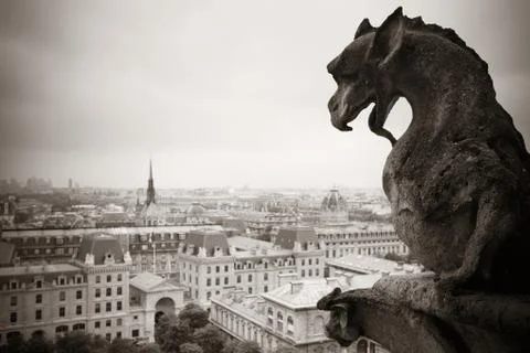 Paris rooftop view Stock Photos