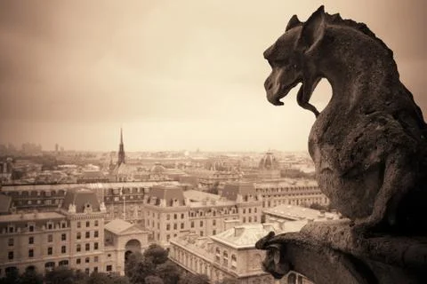 Paris rooftop view Foto stock