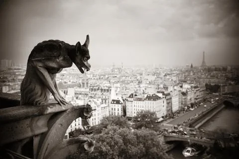 Paris rooftop view Stock Photos