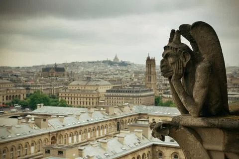 Paris rooftop view Stock Photos