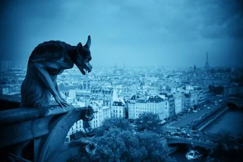 Paris rooftop view 库存照片