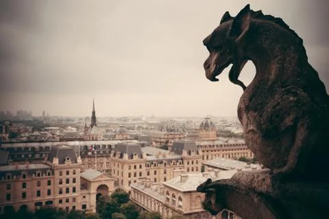 Paris rooftop view 写真素材