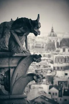 Paris rooftop view 写真素材