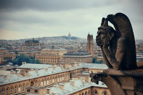 Paris rooftop view 写真素材