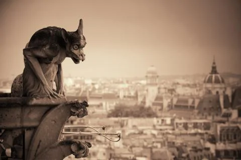 Paris rooftop view 写真素材