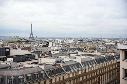 Paris rooftops with Eiffel Tower and historic landmarks under cloudy skies Foto stock