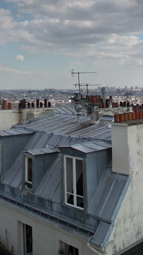 Paris rooftops skyline in vertical Stock Footage 263674761