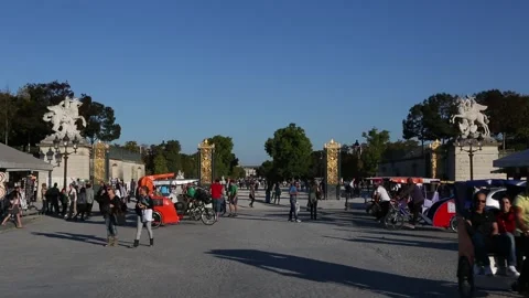 Paris Street Scene Stock Footage 203379032