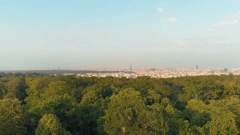 Paris from the top Stock Footage 93994487
