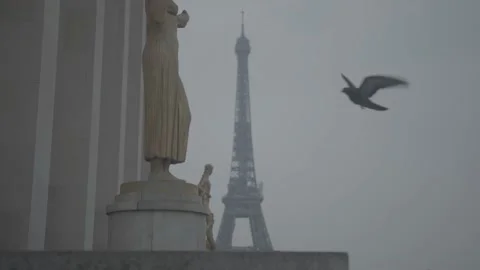 Paris, Tour Eiffel 3 Stockbeeldmateriaal 228823347