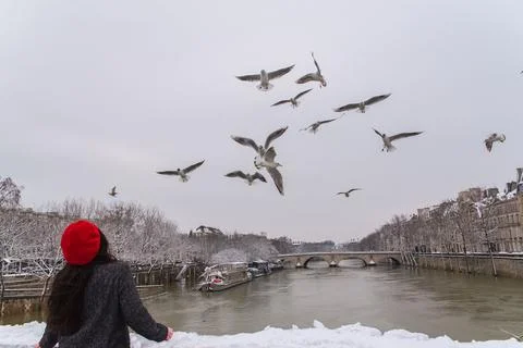 Paris under the snow Stock Photos