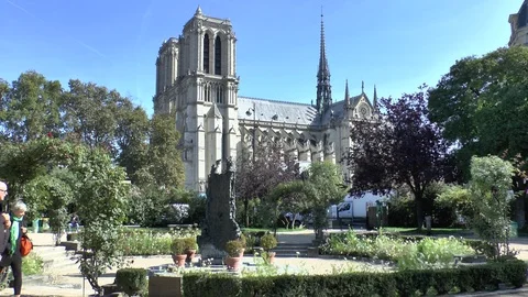 Paris. View of Notre-Dame de Paris. Stock Footage 102292360