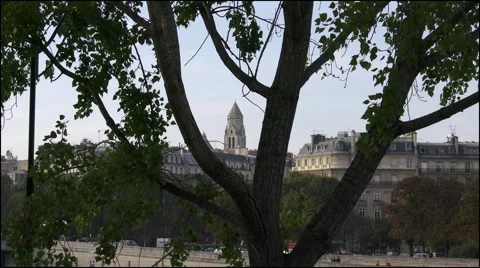 Paris view of tower through trees Video stock 41148563