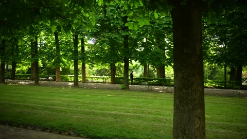 Paris, a walk in Luxembourg Park Stock Footage 280259953