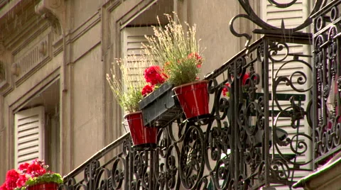 Parisian Terrace in the rain with flower box and  Stock Footage 47533053