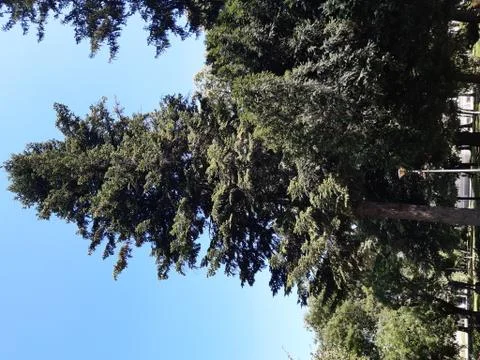 Park 15 Stock Photos