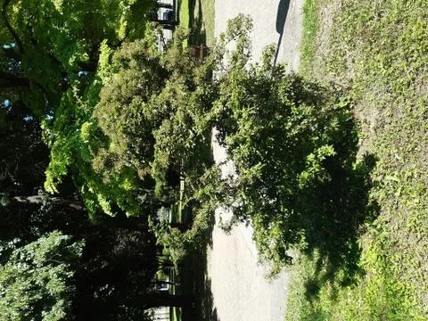 Park 17 Stock Photos